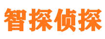 黑山市私家侦探